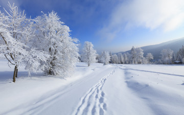 Картинка природа зима снег горы деревья небо облака