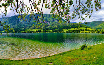 Картинка словения bohinj природа реки озера озеро