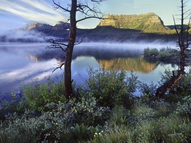 Обои картинки фото природа, реки, озера, туман, трава, дерево, горы, озеро