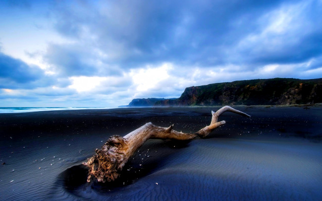 Обои картинки фото природа, побережье, океан, отлив, пляж, песок, бревно, скалы