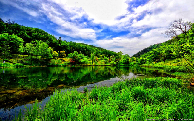 Обои картинки фото природа, реки, озера, лето, лес, зелень, деревья, трава, простор