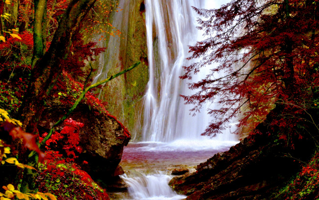 Обои картинки фото природа, водопады, водопад, лес, обрыв, скалы, река