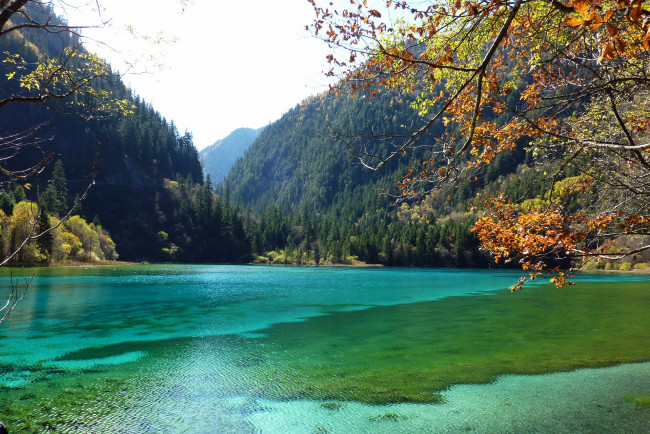 Обои картинки фото китай, jiuzhaigou, valley, panda, lake, природа, реки, озера, лес, горы, озеро