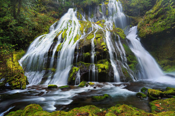 Картинка panther creek falls columbia river gorge oregon природа водопады камни мох орегон