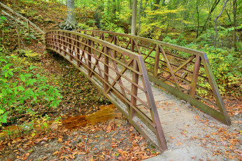 Картинка природа дороги лестница мостик овраг лес