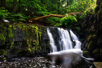 Картинка природа водопады водопад обрыв река лес стволы