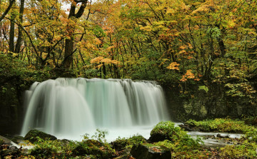 Картинка природа водопады лес водопад река