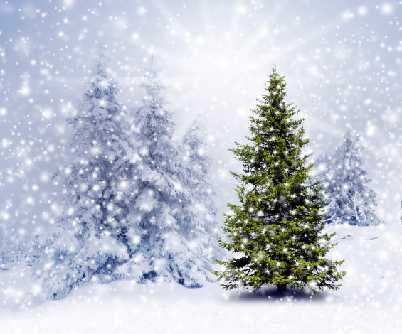 Обои картинки фото праздничные, Ёлки, снег, елка