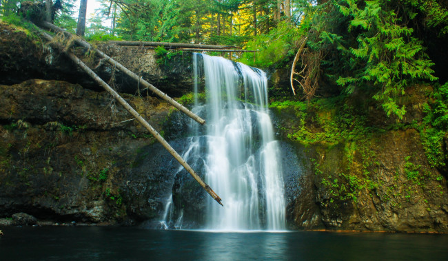 Обои картинки фото природа, водопады, стволы, водопад, обрыв, лес, река