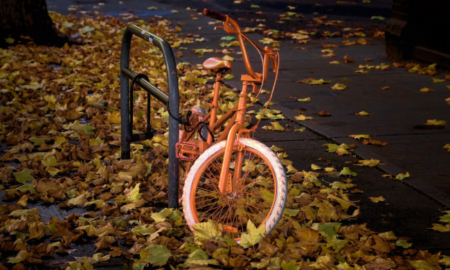 Обои картинки фото техника, велосипеды, замок, велосипед, желтая, листва, осень, улица