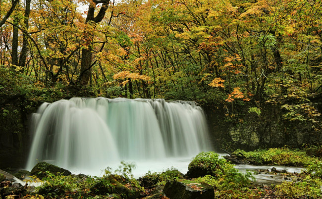 Обои картинки фото природа, водопады, лес, водопад, река