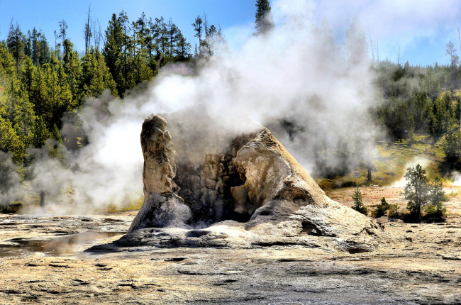 Обои картинки фото giant, geyser, yellowstone, national, park, природа, стихия, пар, гейзер, лес