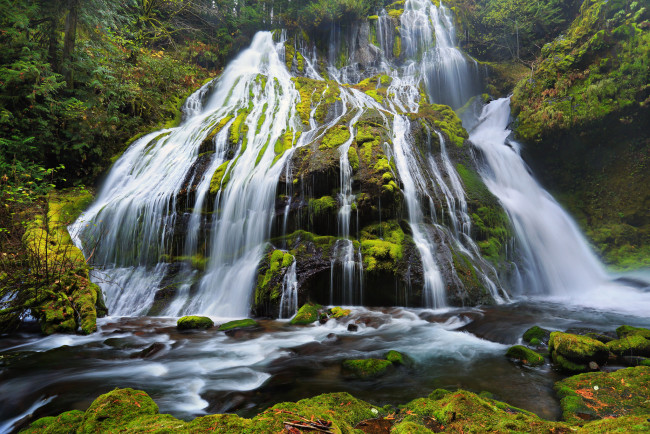 Обои картинки фото panther, creek, falls, columbia, river, gorge, oregon, природа, водопады, камни, мох, орегон