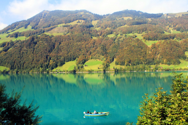 Обои картинки фото швецария, озеро, lungern, природа, реки, озера, лес, горы, швейцария