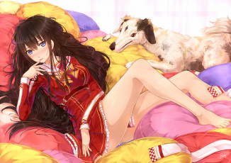 Картинка аниме -animals+&+creatures собака комната девушка арт взгляд подушки шатенка ноги