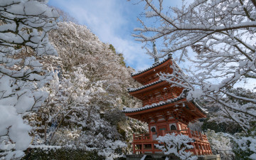 обоя города, киото , Япония, ветки, храм, киото, japan, kyoto, деревья, снег, mimuroto-ji, temple, зима, пагода
