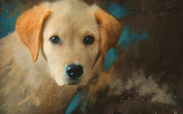 обоя рисованное, животные,  собаки, собака, щенок, морда, портрет, рыжий, живопись, картина, рисунок, мазки