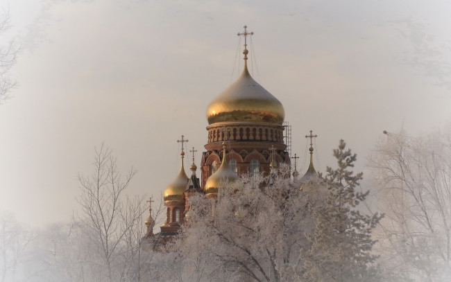 Обои картинки фото города, - православные церкви,  монастыри, зима, деревья, иней, красота, золотые, купола, церковь