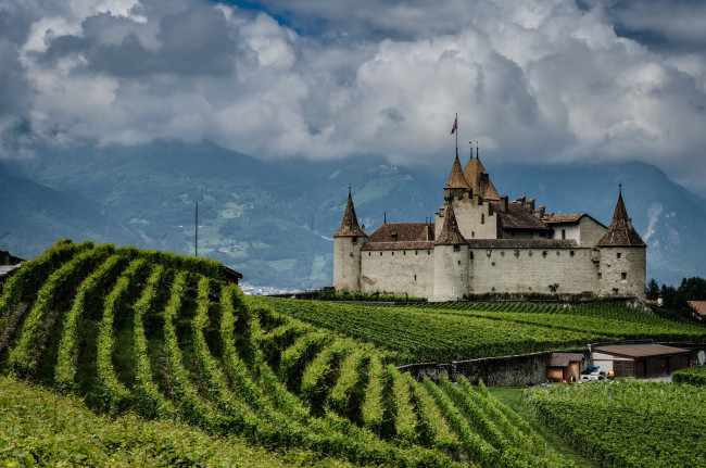 Обои картинки фото classy castle, города, - дворцы,  замки,  крепости, горы, замок, виноградник