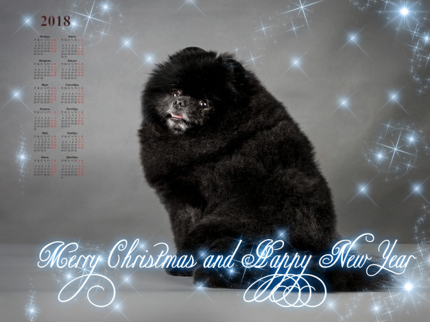 Обои картинки фото календари, животные, собака, черный, цвет, 2018