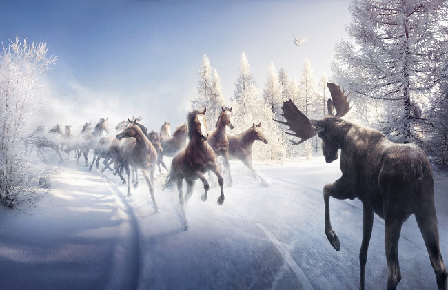 Обои картинки фото 3д графика, животные , animals, лошади, табун, дорога, снег, зима, лось