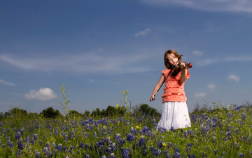 обоя музыка, -другое, девочка, скрипка, луг, цветы