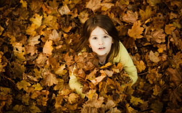 обоя разное, дети, девочка, листья, осень