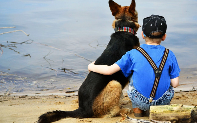 Обои картинки фото разное, дети, мальчик, собака, озеро, берег
