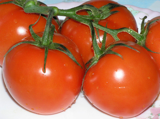 Обои картинки фото помидоры, еда, томаты