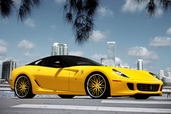 Обои картинки фото автомобили, ferrari, yellow, bird, sport, car, free