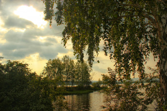 Картинка природа реки озера вечер береза