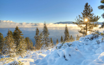 Картинка природа восходы закаты lake tahoe горы сьерра-невада nevada озеро тахо утро снег зима восход невада калифорния деревья рассвет california sierra