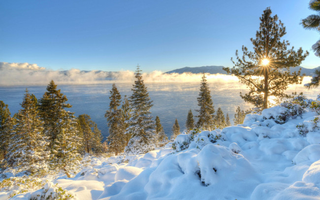 Обои картинки фото природа, восходы, закаты, lake, tahoe, горы, сьерра-невада, nevada, озеро, тахо, утро, снег, зима, восход, невада, калифорния, деревья, рассвет, california, sierra