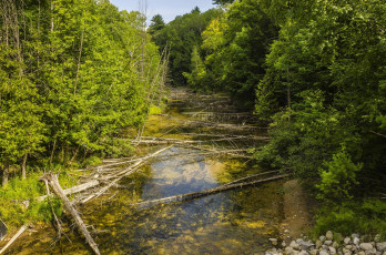 Картинка природа реки озера река лес