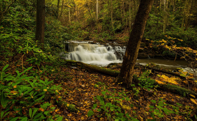 Обои картинки фото природа, водопады, лес, водопад, река