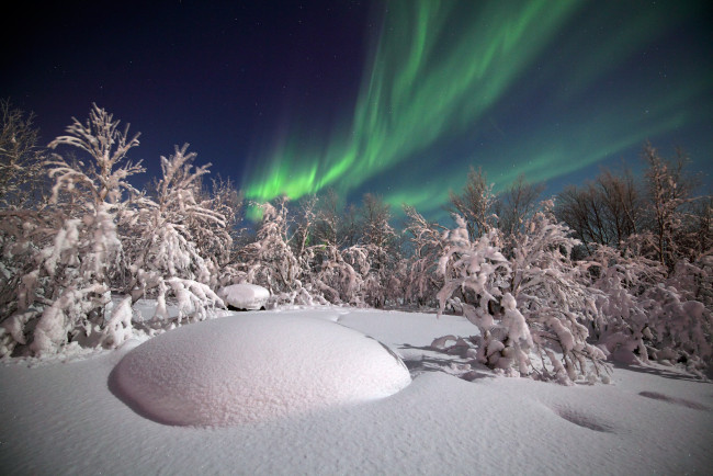 Обои картинки фото природа, северное сияние, деревья, снег