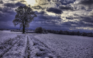 Картинка природа дороги bavaria germany зима германия schwaigwall бавария декабрь