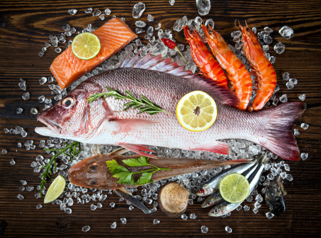 Обои картинки фото еда, рыба,  морепродукты,  суши,  роллы, креветки, лимон, лед
