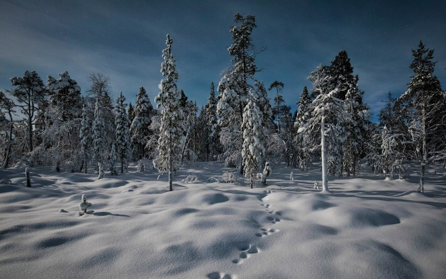 Обои картинки фото природа, зима, riutula, lapland, finland, финляндия