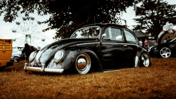 обоя автомобили, volkswagen, beetle