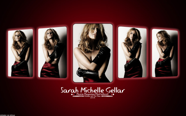 Обои картинки фото Sarah Michelle Gellar, девушки