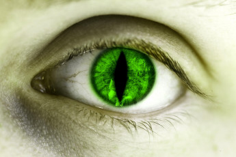 Картинка разное глаза зрачок зеленый