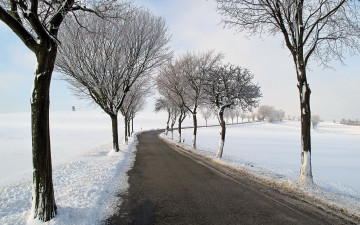 обоя природа, дороги, зима, снег, деревья