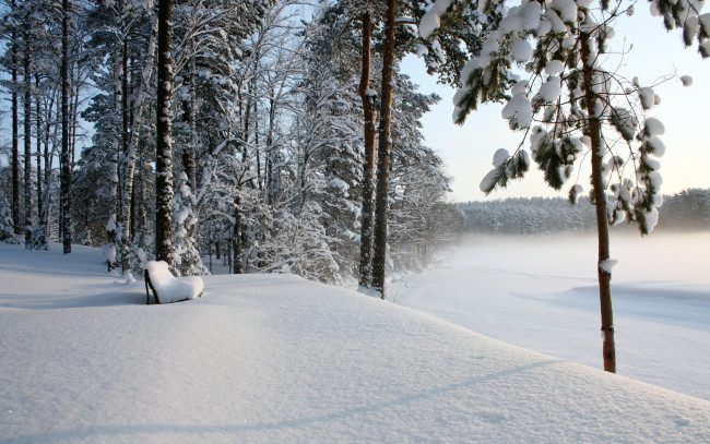 Обои картинки фото природа, зима, снег, лес, скамья