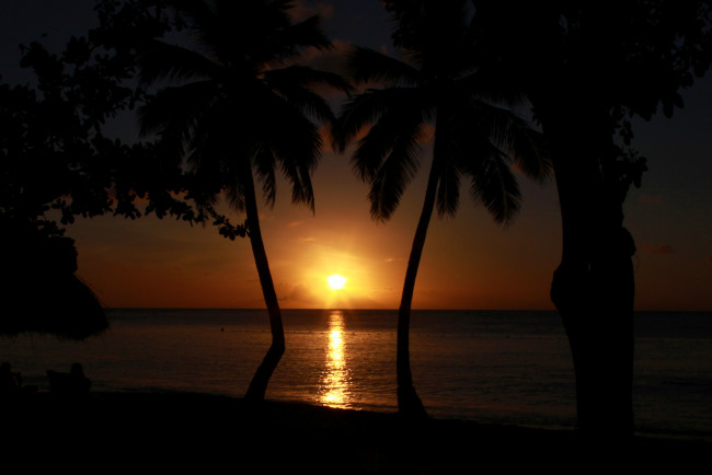 Обои картинки фото природа, восходы, закаты, закат, солнце, ночь, пальмы, вода, море, океан, отражение, вечер