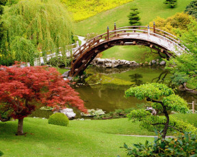 Картинка природа парк водоем деревья мостик