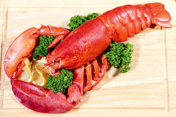 обоя lobster, еда, рыба, морепродукты, суши, роллы, лобстер, лимон, зелень