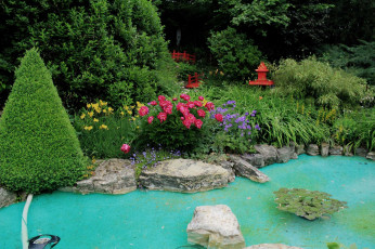 Картинка природа парк кусты водоем лилии пионы