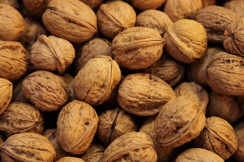 Картинка walnuts еда орехи каштаны много грецкие