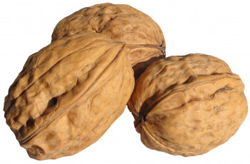 Картинка трио еда орехи каштаны грецкие